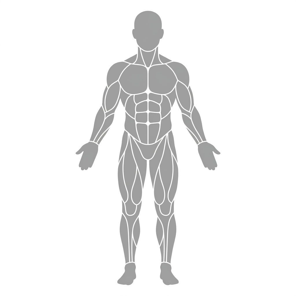 Body front view