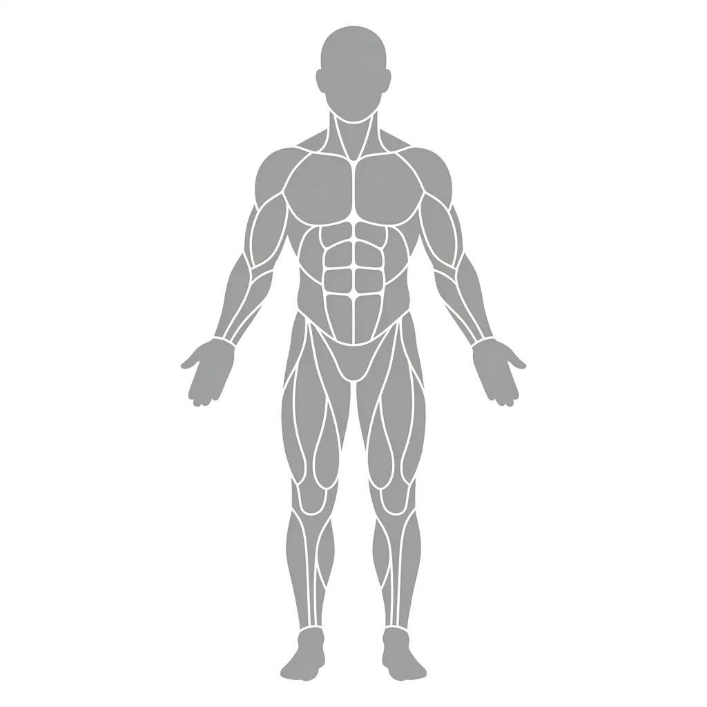 Body front view